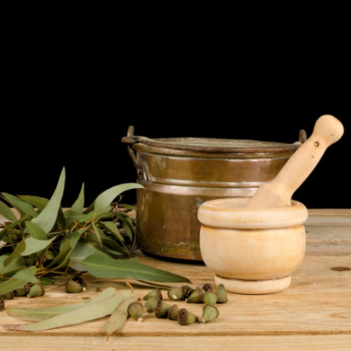 Eucalyptus Waxmelt – geurblokje van sojawas met frisse en verkwikkende geur. Foto van eucalyptusbladeren en een houten vijzel op tafel.
