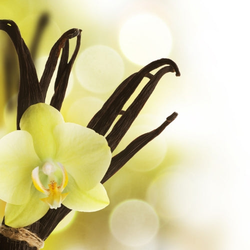 Vanille Cream Waxmelt – geurblokje van sojawas met romige zoete vanillegeur. Foto van vanillepeulen en een vanillebloesem.