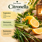 Geurnoten Citronella Waxmelt van Pure Scents met frisse citrus, groene citronella-accenten en grassige ondertonen.