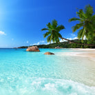 tropisch strand met helderblauw water en palmbomen – inspiratie voor de Sea Salt Waxmelt geur van Feel So Pure