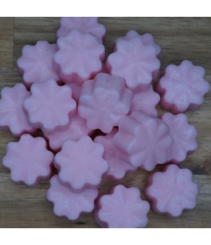 Flower Waxmelt Klein