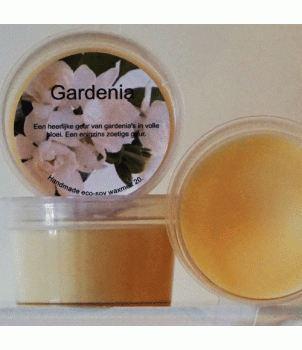 Gardenia WaxMelt